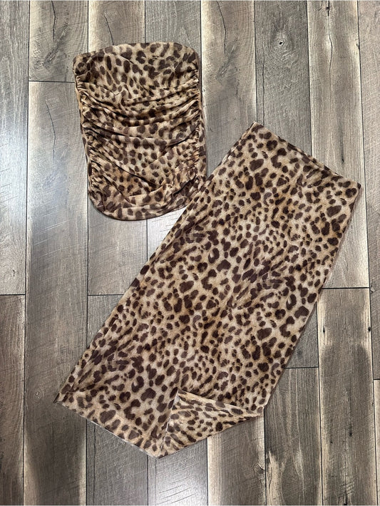 Zara Leopard 2 Piece Skirt Set