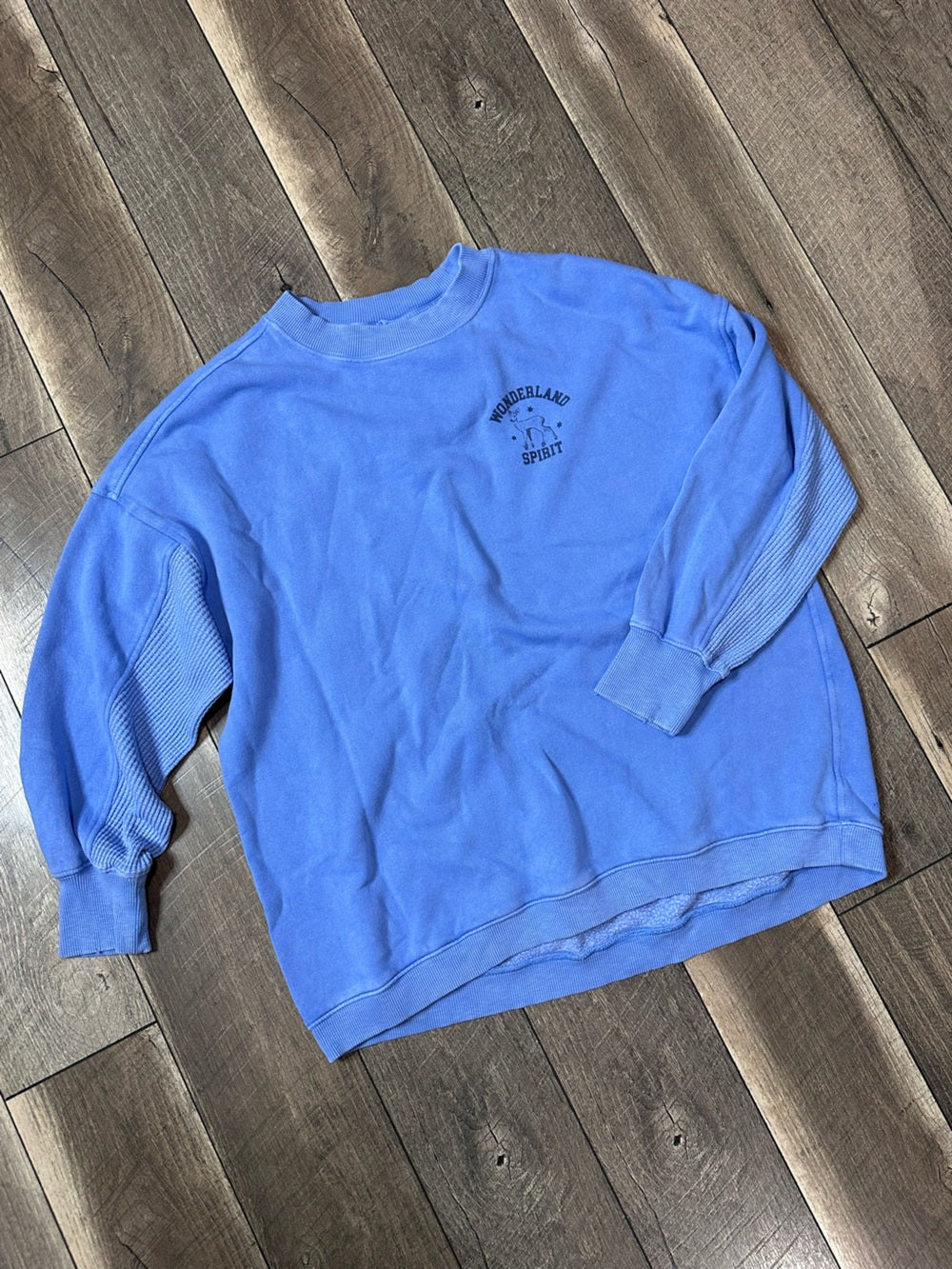 Aerie Oversized “Wonderland Spirit” Crewneck
