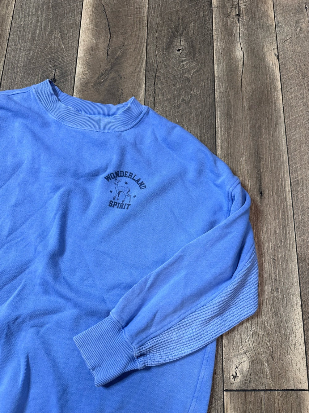 Aerie Oversized “Wonderland Spirit” Crewneck