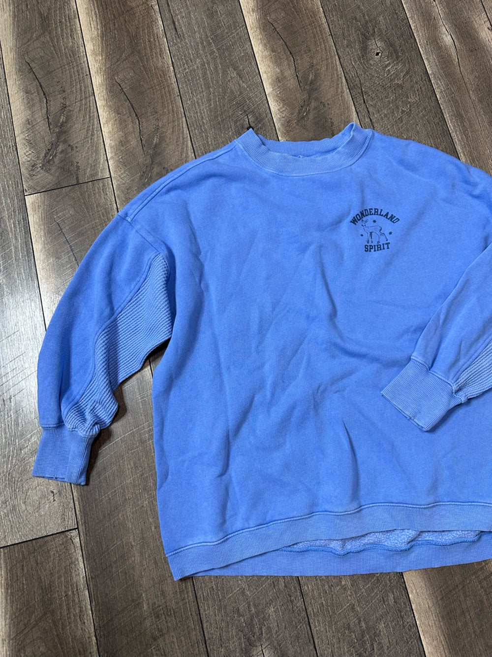 Aerie Oversized “Wonderland Spirit” Crewneck
