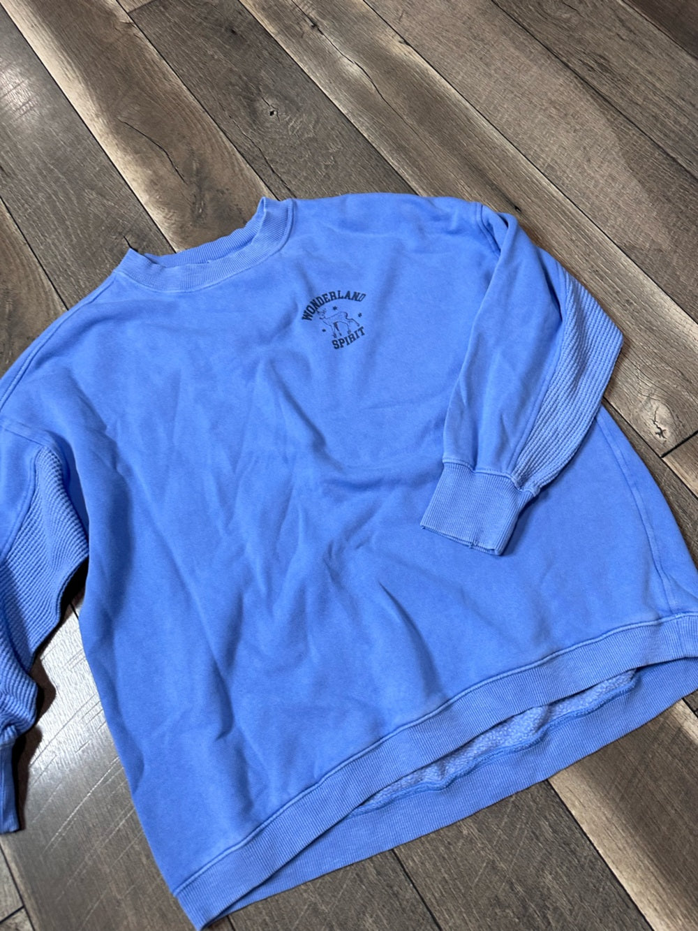Aerie Oversized “Wonderland Spirit” Crewneck
