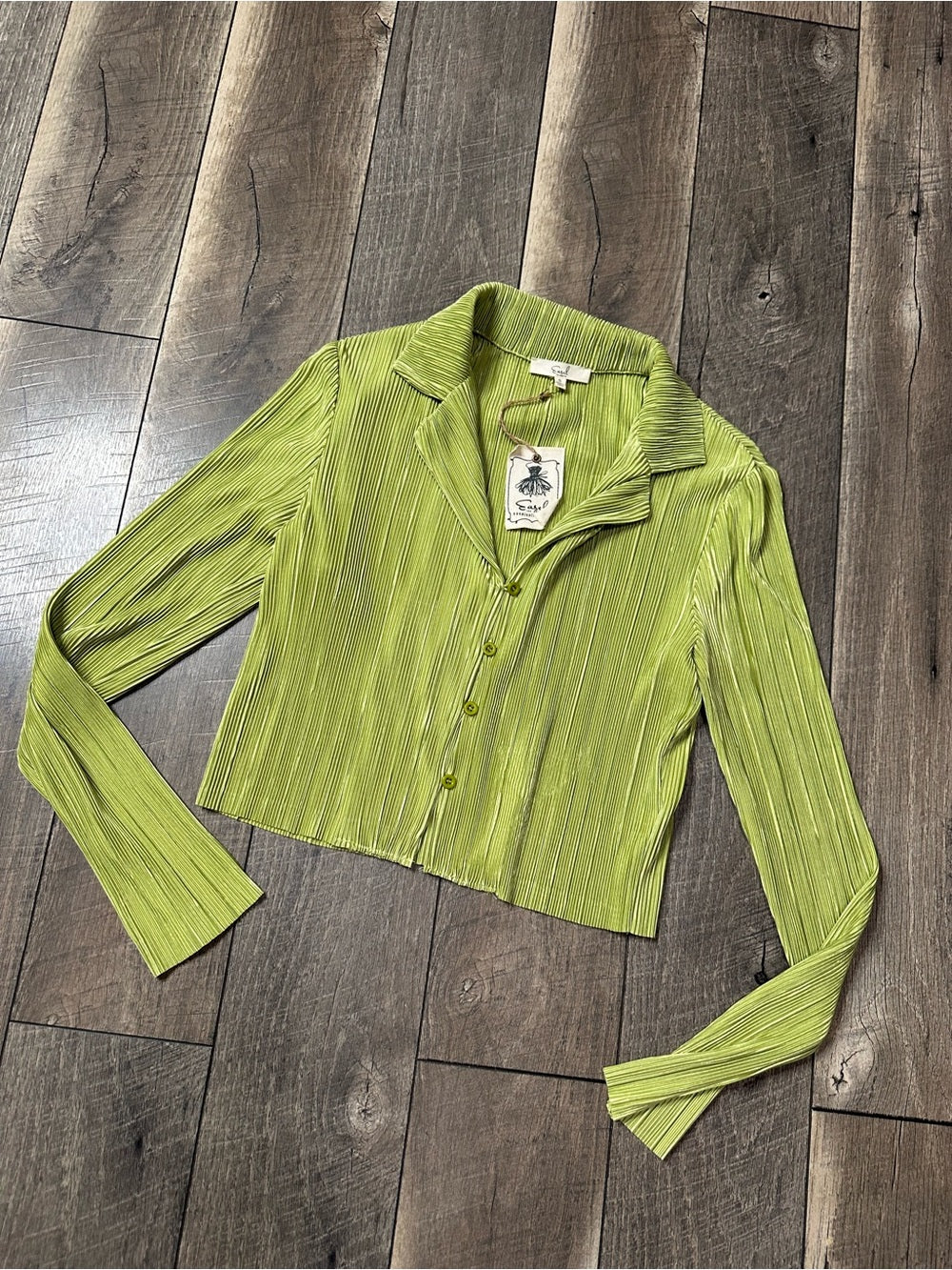 Easel Collared Button Front Long Sleeve Blouse