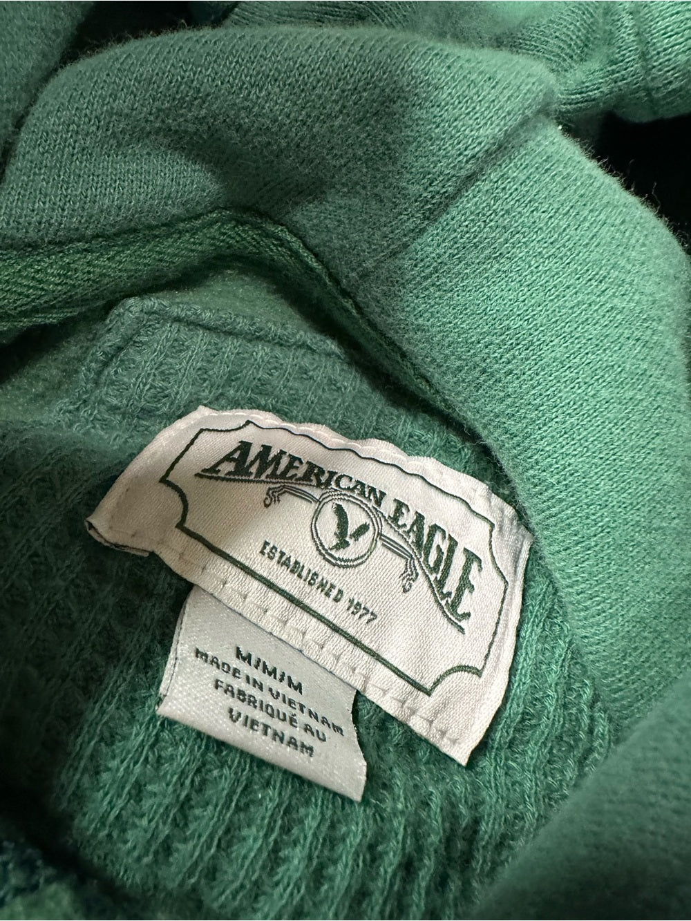 American Eagle Oversized Hoodie