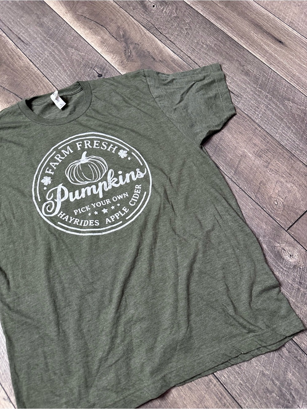 Tultex Pumpkin T-Shirt