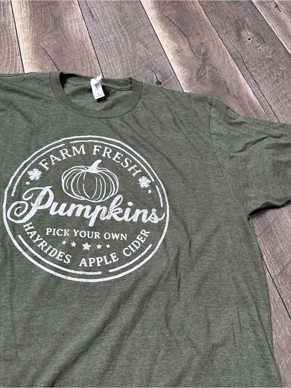 Tultex Pumpkin T-Shirt